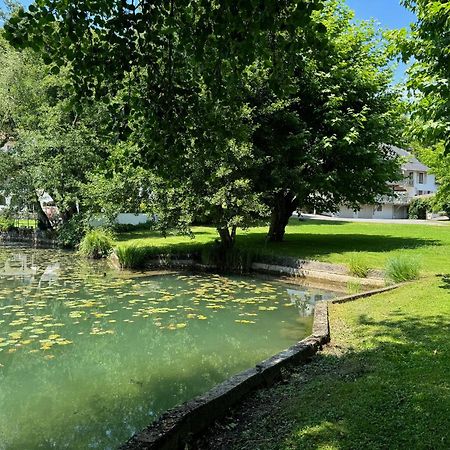 Les Lodges Du Lac Saint-Alban-de-Montbel Екстериор снимка