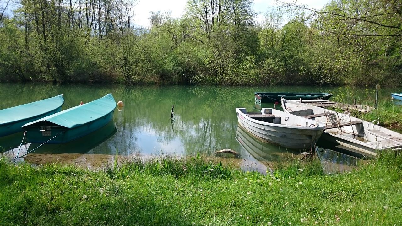 Les Lodges Du Lac Saint-Alban-de-Montbel Екстериор снимка